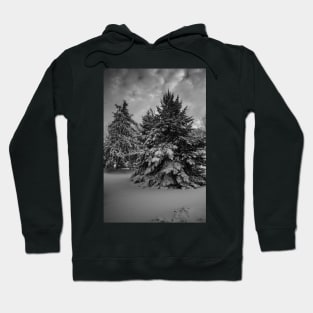 Beauty Of Winter In Black And White Hoodie